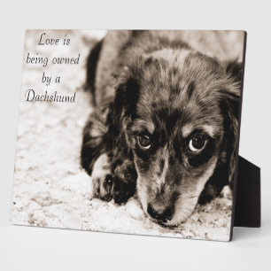 Love is being owned by a Dachshund Plaque