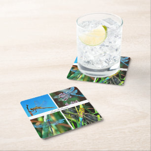 Love Is Forever Artistic Dragonfly Collage Square Paper Coaster
