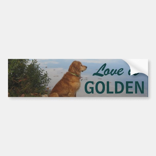Love is Golden Bumper Sticker (Front)
