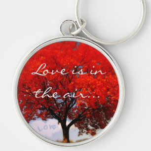 Love is in the air... key ring