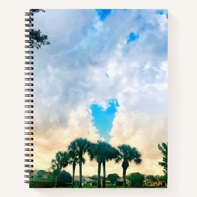 love is in the air notebook (Front)