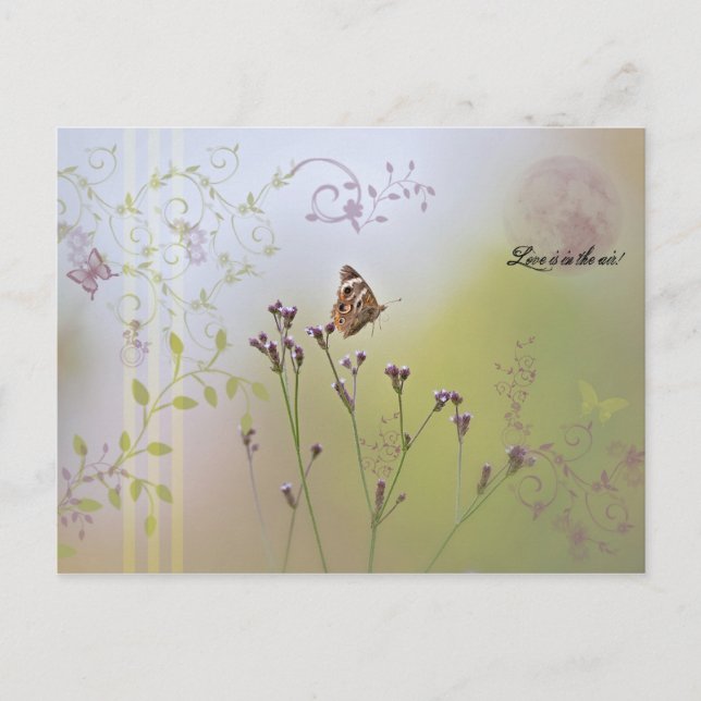 Love is in the air! Postcard (Front)