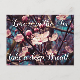 Love is in the Air take a deep Breath | Spring Holiday Postcard