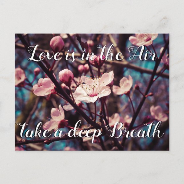 Love is in the Air take a deep Breath |  Spring Holiday Postcard (Front)