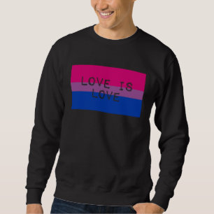 Love Is Love Cute Gay Bisexual Pride Flag Aestheti Sweatshirt