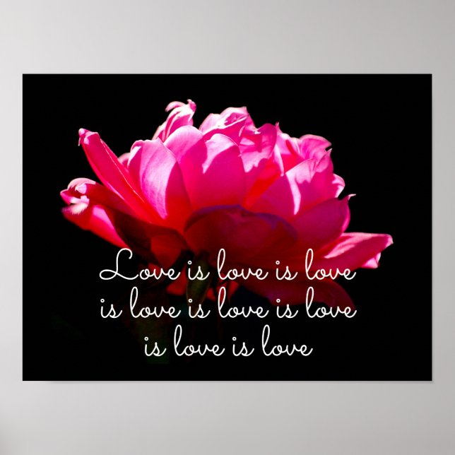 Love is Love Dramatic Rose Poster (Front)