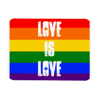 Love is love magnet