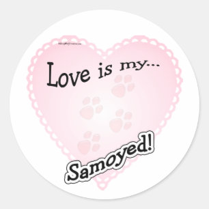 Love is my Samoyed Sticker