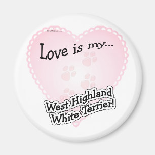 Love is my West Highland White Ter... - Magnet