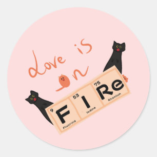 Love Is On Fire Funny Sticker