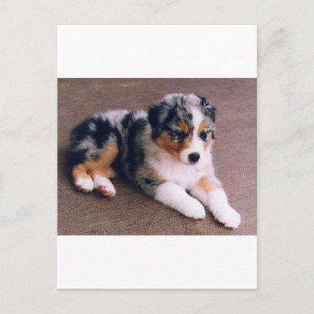 Love is,,, postcard (Front)