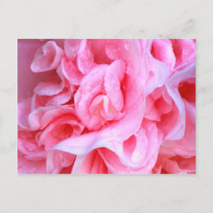 Love is_ postcard