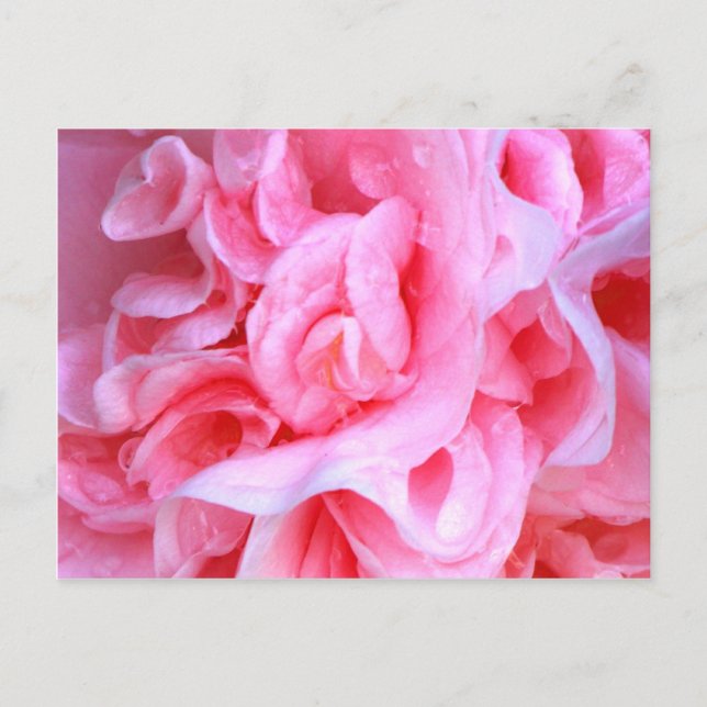 Love is_ postcard (Front)