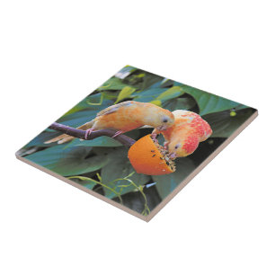Love is Sharing: Yellow Turquoisine Parakeets Ceramic Tile