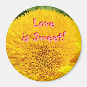 Love is Sweet! magnets Pink Yellow Sunflower