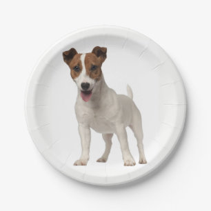 Love Jack Russel Terrier Puppy Dog Paper Plates