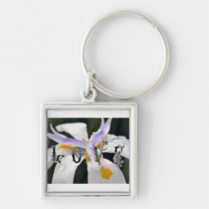 Love Key Ring