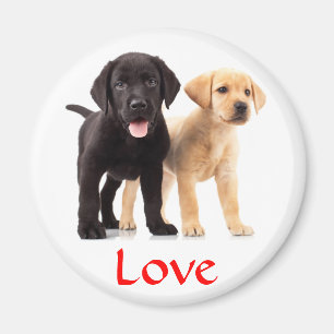 Love Labrador Retriever Puppies Fridge Magnet