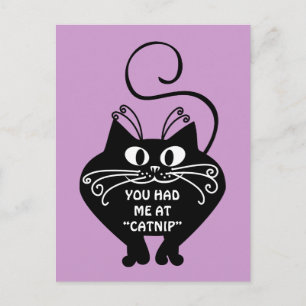Love letter from my cat: you can buy my love postcard