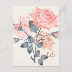 Love Life Cream Floral Postcard Designer