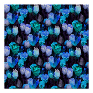 Love&Light... Poster