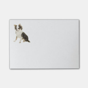 Love Long Hair Chihuahua Puppy Dog Post-it Notes