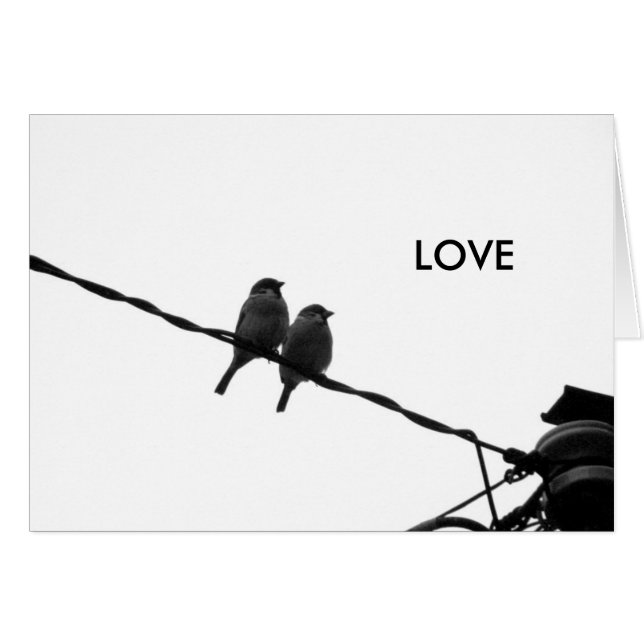 Love/Looking in the Same Direction (Front Horizontal)