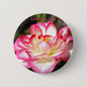 Love Love Love Button Colourful Pink White Rose
