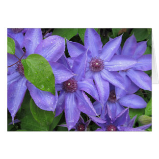 Love Me Blue - TBD series