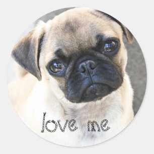 love me - cute mops classic round sticker