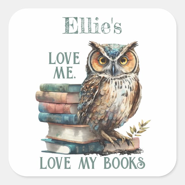 Love me Love my books Owl Bookplate Square Sticker (Front)