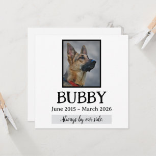 Love Memorial Funeral Pet Loss In Our Hearts Forev