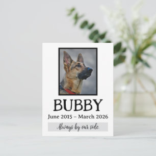 Love Memorial Funeral Pet Loss In Our Hearts Forev Postcard