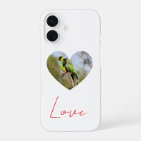Love - Monk Parakeet Couple