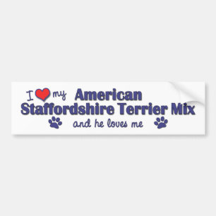 Love My Amer. Staffordshire Terrier Mix (Male Dog) Bumper Sticker