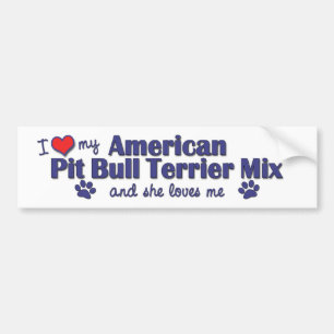 Love My American Pit Bull Terrier Mix (Female Dog) Bumper Sticker