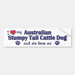 Love My Aust. Stumpy Tail Cattle Dog (Female Dog) Bumper Sticker