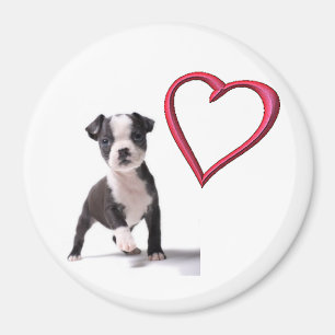 Love My Boston Puppy Dog Magnet