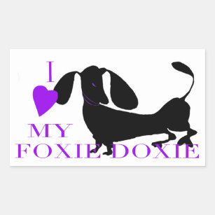 foxie doxie