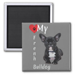 Love My French Bulldog Magnet