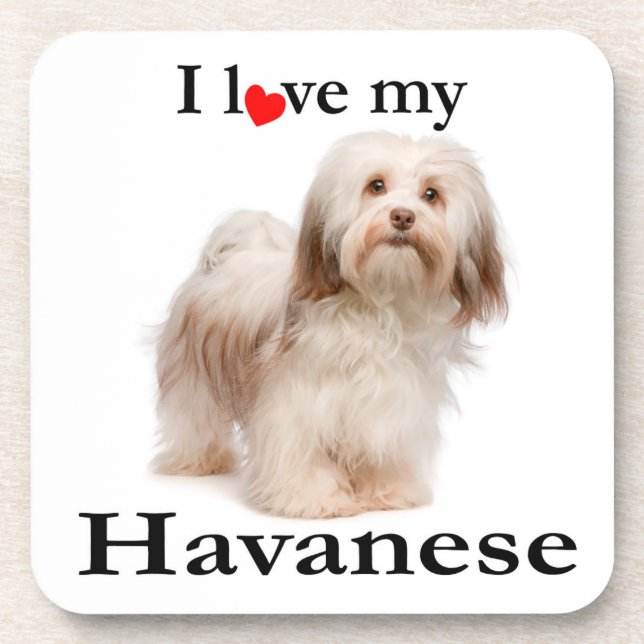 Love My Havanese Coaster Set (Front)