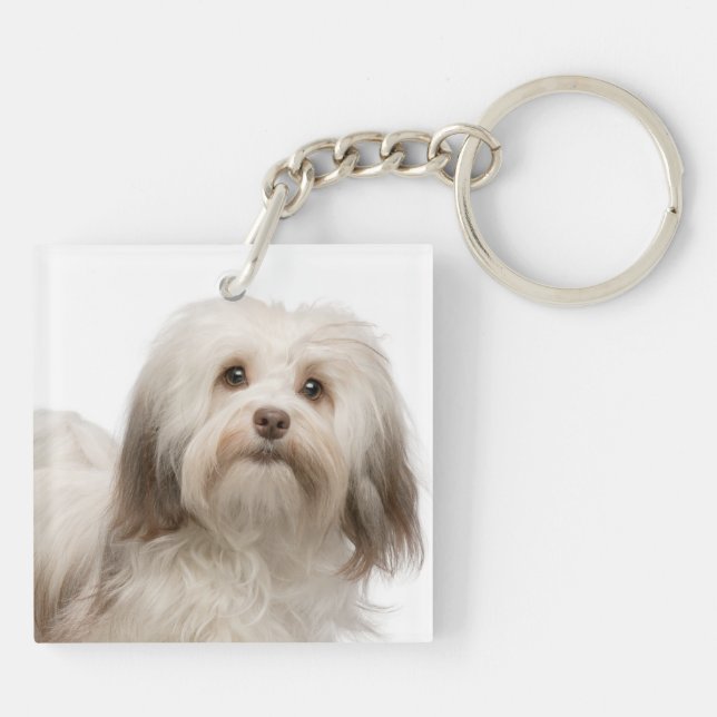 Love My Havanese Keychain (Back)