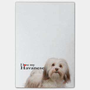 Love My Havanese Post-It Notes