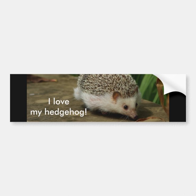 love my hh bumper sticker (Front)