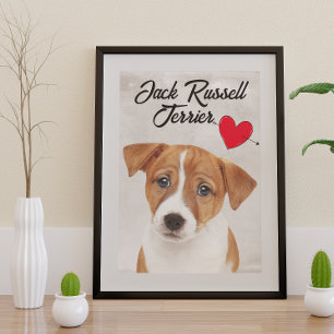 Love My Jack Russell Terrier  Poster
