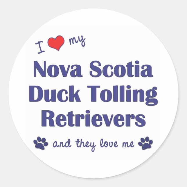 Love My Nova Scotia Duck Tolling Retrievers (They) Classic Round Sticker (Front)