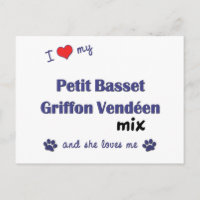 Love My Petit Basset Griffon Vendeen Mix (Female)