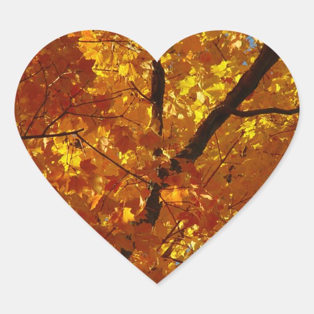 Love Nature Stickers - Fall Foliage (Front)
