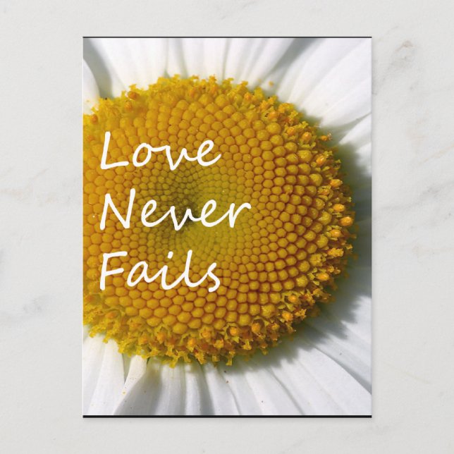 Love Never Fails Daisy 1 Corinthians 13 Postcard (Front)