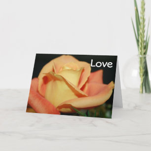Love Note Cards
